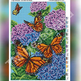 Схема для вишивки бісером - Гортензія і метелики