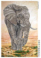 Схема для вышивки бисером - Африканские слоны