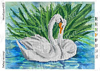 Схема для вышивки бисером - Лебеди на озере