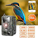 Фотопастки для дикої природи та охорони Suntek HC801M 2G 20MP 1080P MMS/SMTP/SMS, фото 7