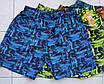 Шорти чоловічі норми 48-56, фото 3