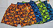 Шорти чоловічі норми 48-56, фото 2