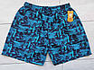 Шорти чоловічі норми 48-56, фото 6