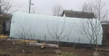 Теплиця "Файна+" 4 х 8 м, (труба оцинкована 30х20 мм.), повний комплект "Стандарт", плівка UV-6, 150 мкм.