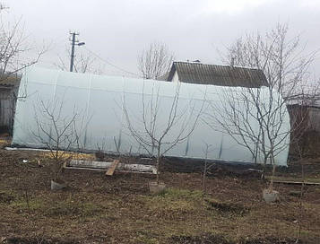 Теплиця "Файна+" 4 х 8 м, (труба оцинкована 30х20 мм.), повний комплект "Стандарт", плівка UV-4, 100 мкм.