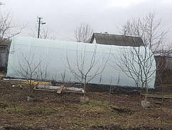 Теплиця "Файна+" 4 х 8 м, (труба оцинкована 30х20 мм.), повний комплект "Стандарт", плівка UV-4, 100 мкм.