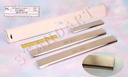 Захист порогів - накладки на пороги BMW X62008- (Standart)