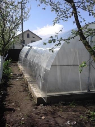 Теплиця Файна з полікарбонатом 4 мм для саду та городу оцинкована труба 30х20 мм для міцності та захисту 10, Стандарт, 4