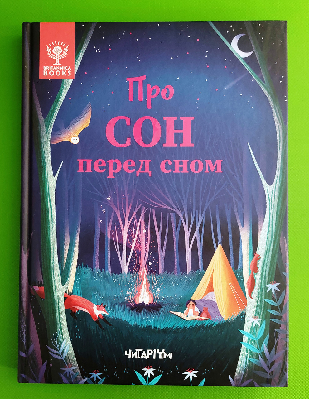 Про сон перед сном. Дж.Маккен. Дж.Арена. Р. Валентайн. С.Саймз. Читаріум