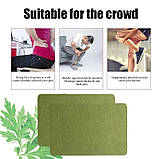 Турмаліновий пластир з екстрактом полину та імбиром знеболювальний знімає біль на всіх ділянках тіла 6 шт., фото 5