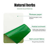 Турмаліновий пластир з екстрактом полину та імбиром знеболювальний знімає біль на всіх ділянках тіла 6 шт., фото 6