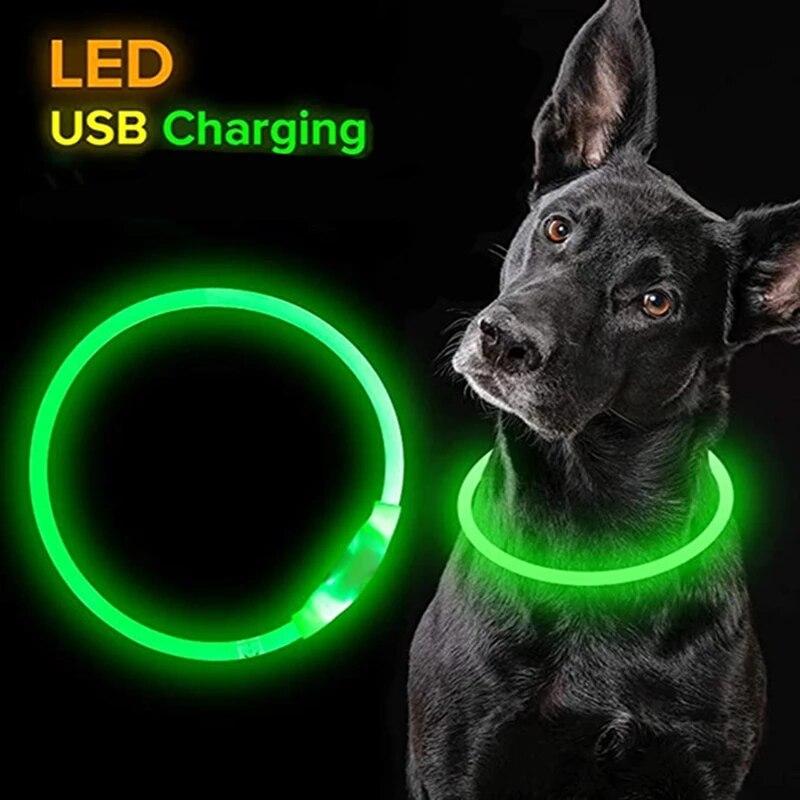 Світлодіодний яскравий нашийник LED, нашийник для собак і кішок. USB заряджання. 35 см. Акумуляторний., фото 1