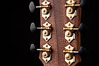 Електро-акустична гітара CORT GOLD-Edge, фото 8