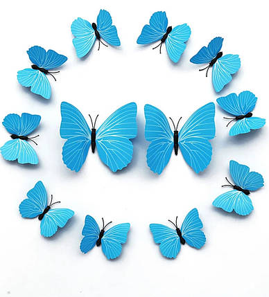 3D метелики наклейки з магнітами і з наклейкою на стіну блакитний 12штук набір, фото 2