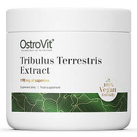 Тестостероновый бустер OstroVit Tribulus Terrestris Extract 90% saponins (100 грамм.)