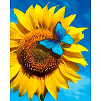 Алмазна мозаїка SANTI Метелик на соняшнику, 40*50см (на підрамнику)