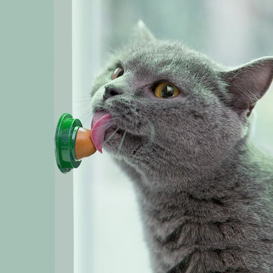 Кошачья конфета. Мятный шарик лизалка. Лакомство для кошек с кошачьей мятой и витаминами Candy Cat Catnip - фото 2 - id-p1838261997