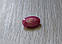 Рубін натуральний 1.84 Ct. 9 x 7 x 2.7 mm, фото 4