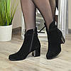 Черевики жіночі на невисокому каблуці, з натуральної замші чорного кольору, фото 4