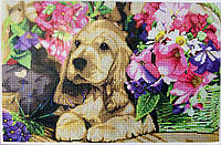 Алмазная мозаика (вышивка) 40х60 см. Собака