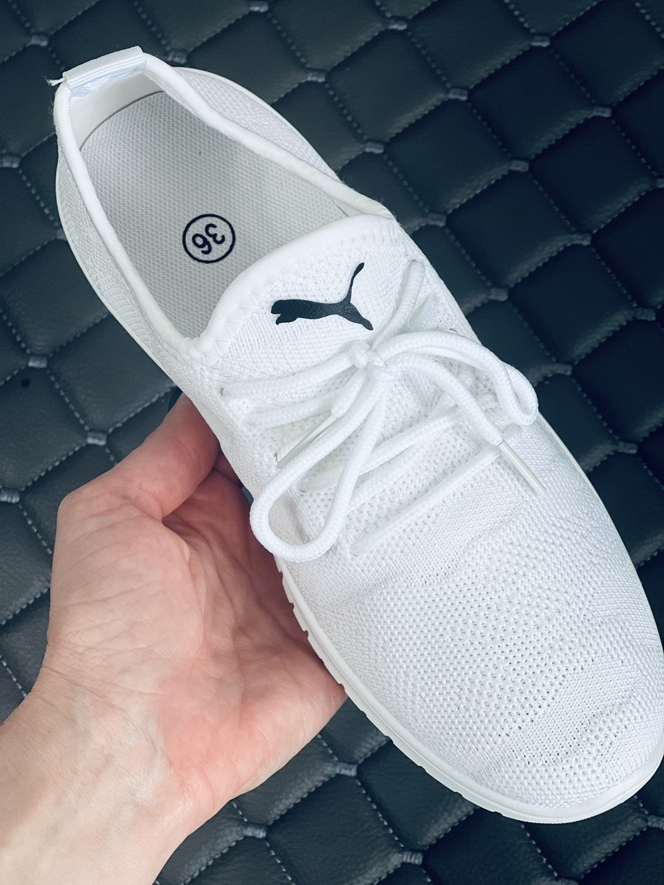 Puma Run