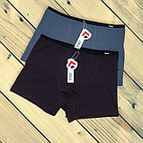 Чоловічі труси боксери Taso бавовна+бамбук тонка гумка 1 шт Розмір L XL XXL 3XL, фото 3