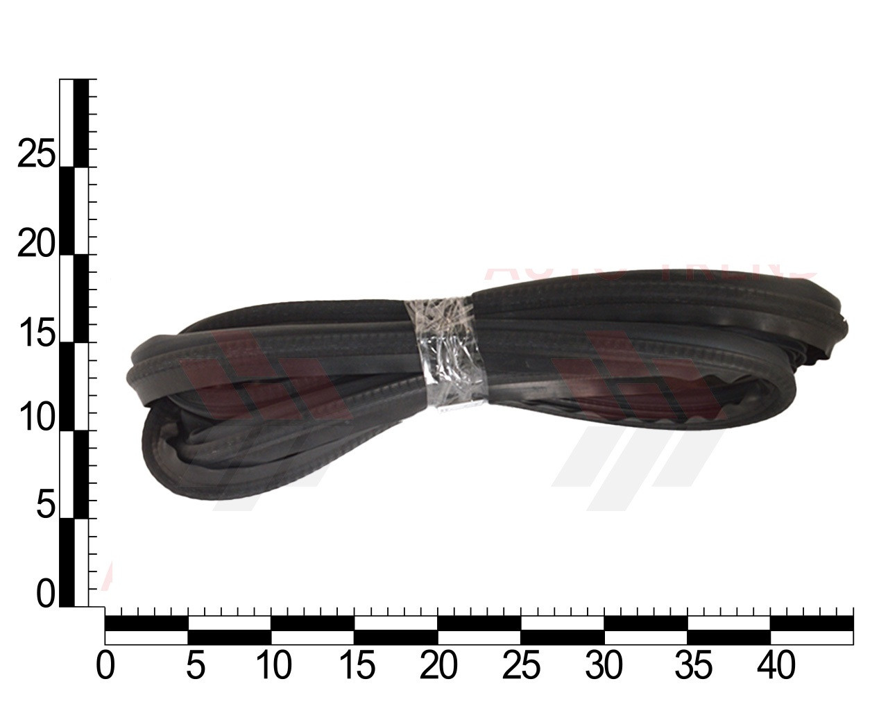 Ущільнювач дверцята ВАЗ 2110, 2111, 2112 передній (ASR, Чехія), фото 1