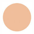 Shiseido d Program Medicated Skincare Foundation Powdery SPF17/PA++  компактна пудра #10 охра, 10,5 г, фото 2