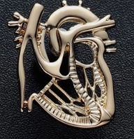 Медицинская брошь брошка золотистый металл анамомия сердце кардиолог врач медик