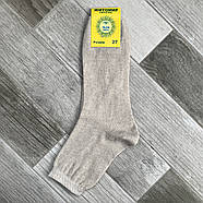 Шкарпетки чоловічі демісезонні гладкі 100% льон Житомир Premium, 25 розмір, 08601, фото 2