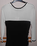 Блузка жіноча приталена з гіпюром M\L XXL Leo Guy, фото 2