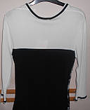 Блузка жіноча приталена з гіпюром M\L XXL Leo Guy, фото 3