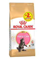 Акція! Корм Royal Canin Maine Сoon Кitten (Роял Канін Мейн Кун Кіттен), 8кг+2кг у подарунок!