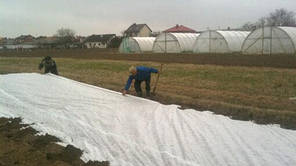 Агротекстиль PR 625 для мульчування й укриття рослин 99 г/м2 1.62×100 м, білий (лінії), фото 3