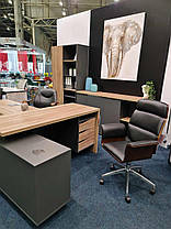 CONNECT 1 L стіл письмовий 1900*786 дуб сонома трюфель/антрацит, фото 4