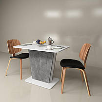 Cтіл COSMO 145x68 Біла Аляска РЕ/Індастріал, фото 2