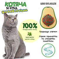 Кулька з котячою м'ятою TOYS avocado. Котяча м'ята, м'ята іграшка для котів та кішок. М'ятна кулька для котів