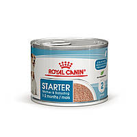 Royal Canin Starter Mousse (Стартер) вологий корм для цуценят і сук під час вагітності та лактації 195гр * 12 шт.
