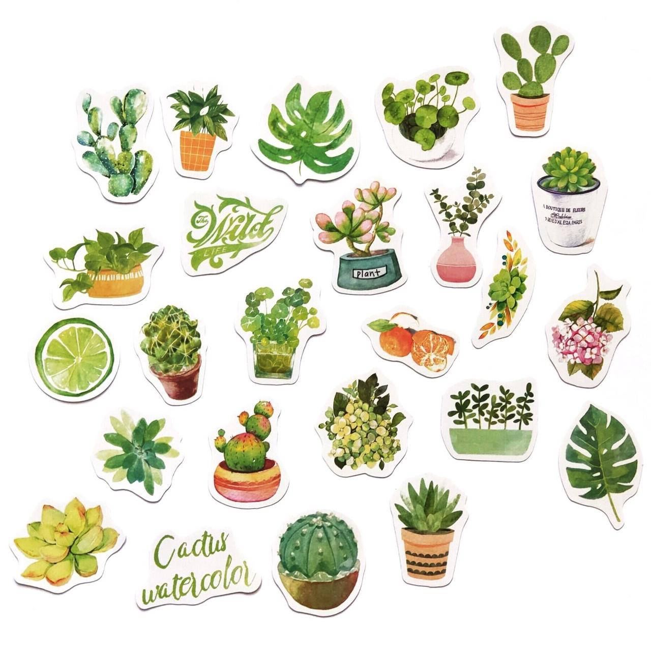 

Набор стикеров Лайм 46 шт