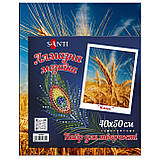 Алмазна мозаїка SANTI "Прогулянка під дощем 30*40см на підрамнику 954299, фото 3