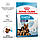 Royal Canin Maxi Starter (Роял Канін Джайнт Стартер) сухий корм для цуценят, вагітні та годуючі суки 18КГ, фото 4