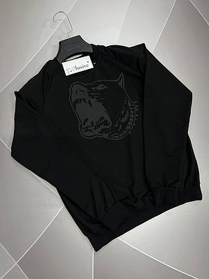 Світшот чоловічий EXLUSIVE S-XXL арт 1236, Колір Чорний, Міжнародний розмір L, Розмір чоловічого одягу (RU) 48
