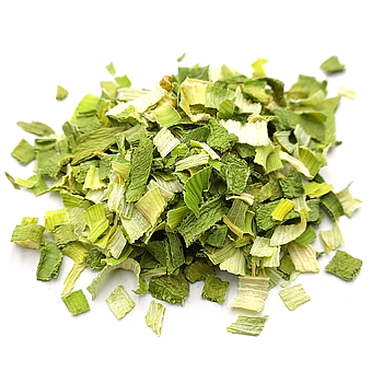 Цибуля порей