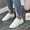 Кросівки жіночі білі літні перфоровані (121433), фото 8