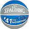 М'яч баскетбольний Spalding NBA Player Dirk Nowitzki Size 7, фото 2