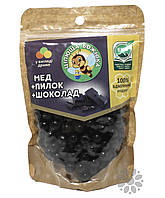 Натуральные конфеты-драже "Цілюща бджілка" с шоколадом, 150 г