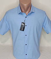 Стильная мужская тенниска лен Paul Smith vkl-0302 голубая приталенная, мужская рубашка с коротким рукавом лен