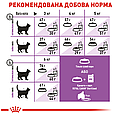 Сухий корм Royal Canin Sterilised для дорослих стерилізованих кішок від 12 місяців до 7 років, 400г, фото 8