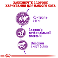 Сухий корм Royal Canin Sterilised для дорослих стерилізованих кішок від 12 місяців до 7 років, 400г, фото 5