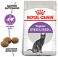 Сухий корм Royal Canin Sterilised для дорослих стерилізованих кішок від 12 місяців до 7 років, 400г, фото 4